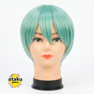 En Otaku Place